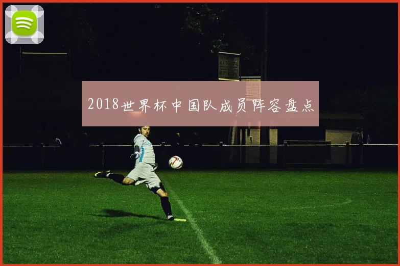 2018世界杯中国队成员阵容盘点